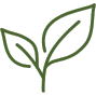 icono hojas